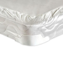 Load image into Gallery viewer, Bird Of Paradise 4&quot; Full-Size Foundation
